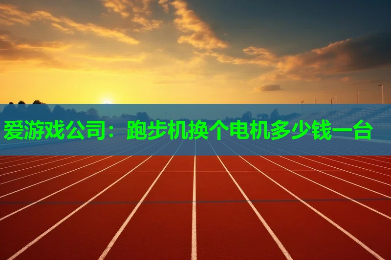 爱游戏公司：跑步机换个电机多少钱一台