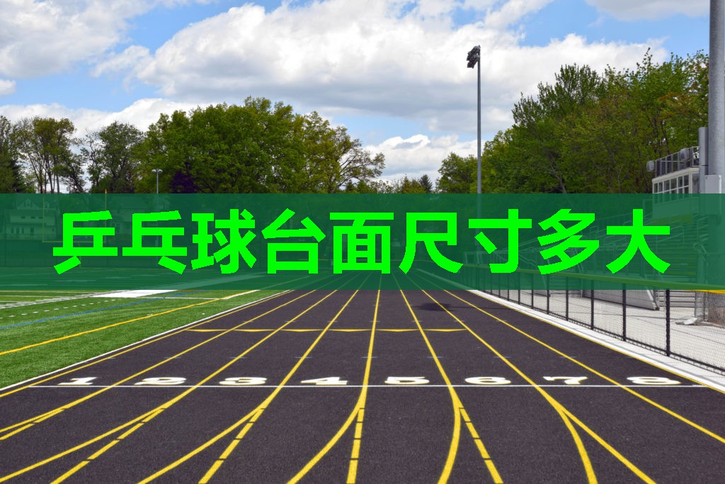 乒乓球台面尺寸多大