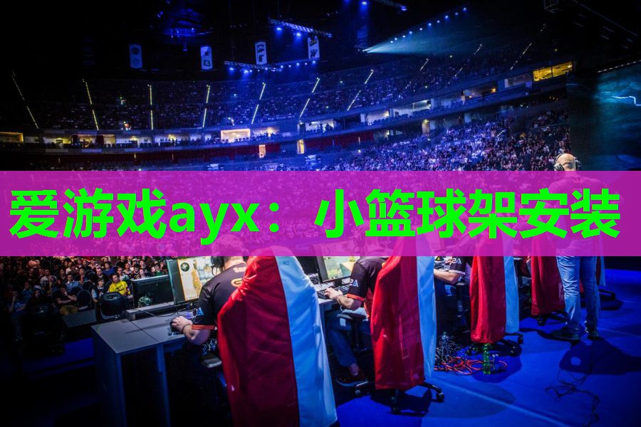 爱游戏ayx：小篮球架安装