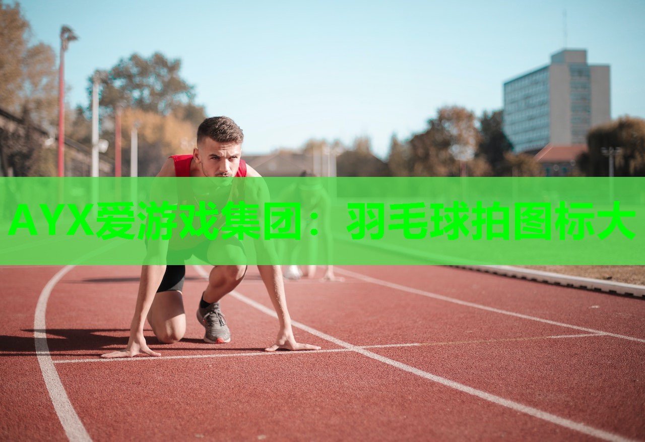 AYX爱游戏集团：羽毛球拍图标大