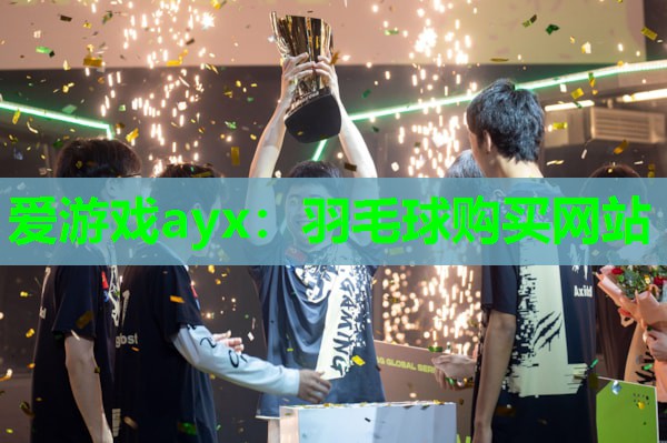 爱游戏ayx：羽毛球购买网站