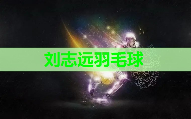 刘志远羽毛球