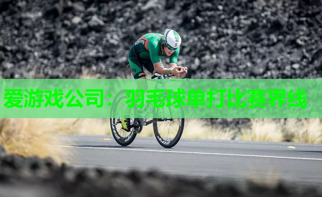 爱游戏公司：羽毛球单打比赛界线