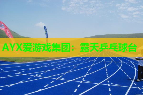 AYX爱游戏集团：露天乒乓球台