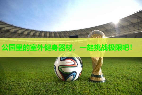 公园里的室外健身器材,一起挑战极限吧! 公园里的室外健身器材,一起挑战极限吧!