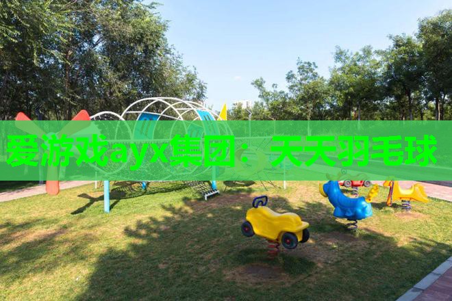 天天羽毛球 天天羽毛球