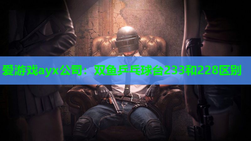 双鱼乒乓球台233和228区别 双鱼乒乓球台233和228区别
