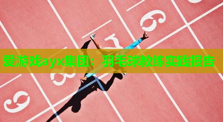 羽毛球教练实践报告 羽毛球教练实践报告