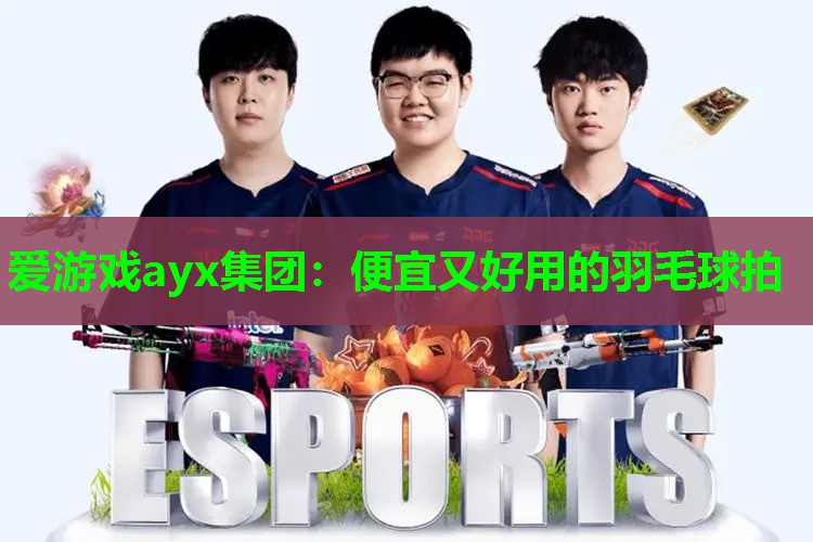 便宜又好用的羽毛球拍 便宜又好用的羽毛球拍