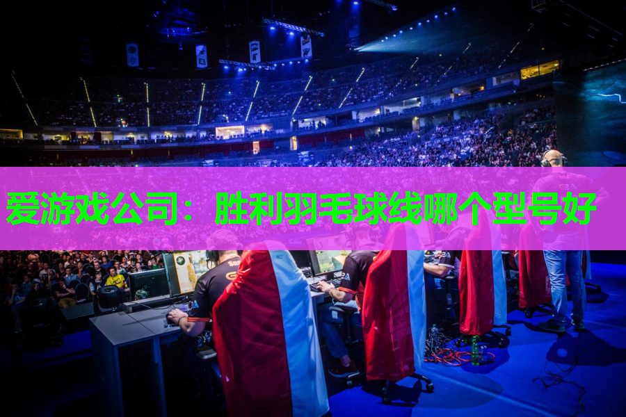 胜利羽毛球线哪个型号好 胜利羽毛球线哪个型号好