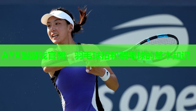 羽毛球拍和羽毛球的基本知识 羽毛球拍和羽毛球的基本知识