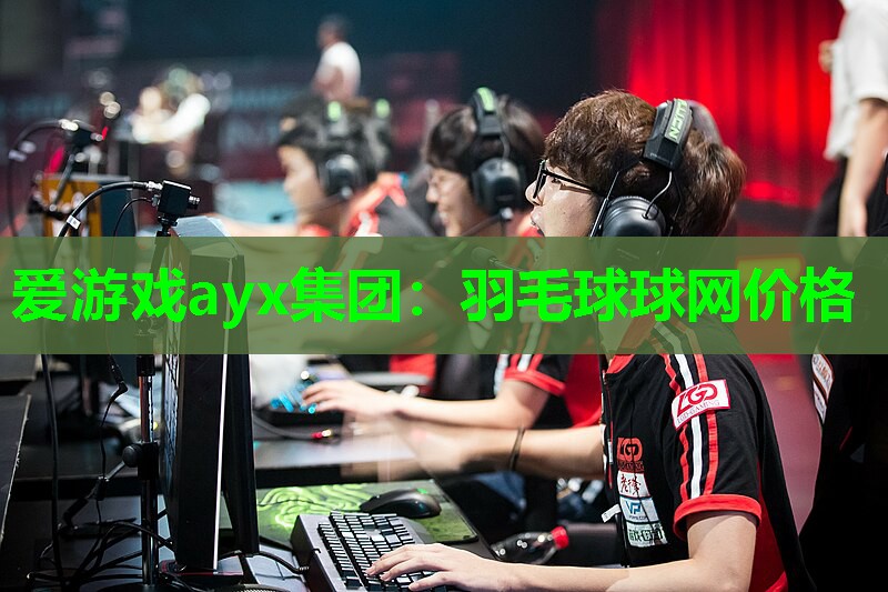 羽毛球球网价格 羽毛球球网价格