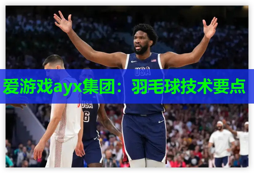 羽毛球技术要点 羽毛球技术要点