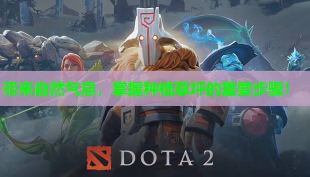 带来自然气息,掌握种植草坪的重要步骤! 带来自然气息,掌握种植草坪的重要步骤!