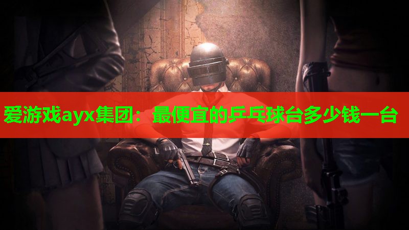 最便宜的乒乓球台多少钱一台 最便宜的乒乓球台多少钱一台