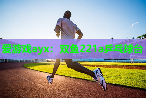 双鱼221a乒乓球台 双鱼221a乒乓球台