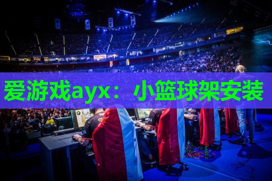 小篮球架安装 小篮球架安装