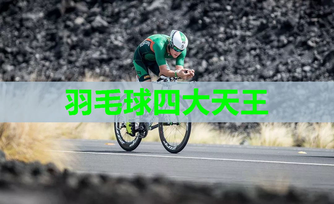 羽毛球四大天王 羽毛球四大天王