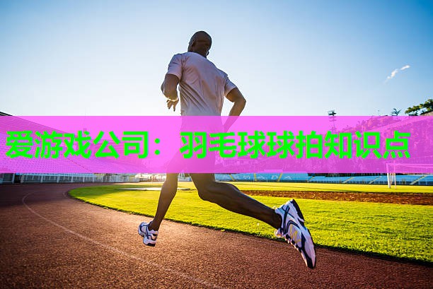 羽毛球球拍知识点 羽毛球球拍知识点