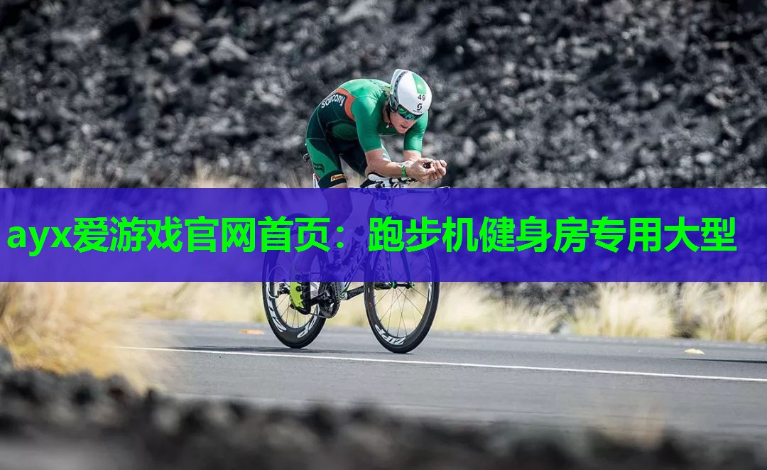 跑步机健身房专用大型 跑步机健身房专用大型