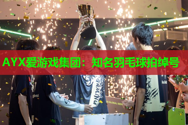 知名羽毛球拍绰号 知名羽毛球拍绰号