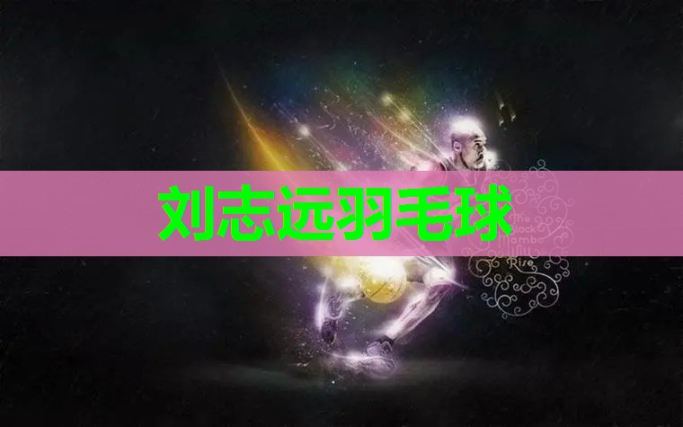 刘志远羽毛球 刘志远羽毛球